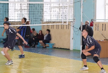 IMG_1816_cr.jpg